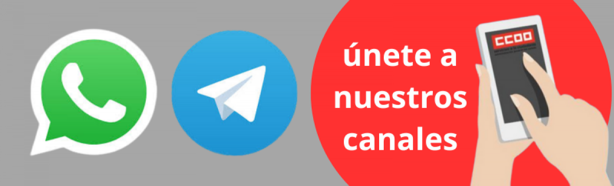 Únete a nuestros canales